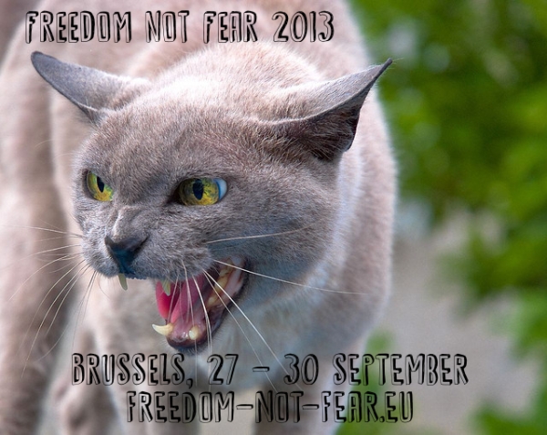 01-freedom-not-fear-nastycat-cc-by-Hannibal-Poenaru